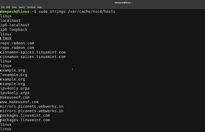 How do I find my local DNS cache?