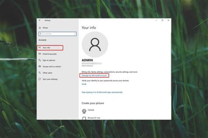 How do I find my Microsoft username?