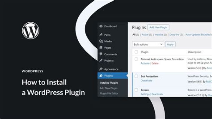 How do I find plugins on WordPress?