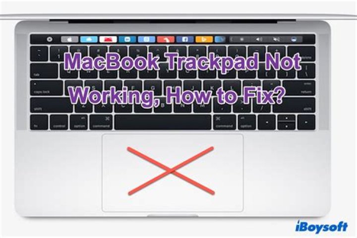How do I fix my MacBook trackpad?