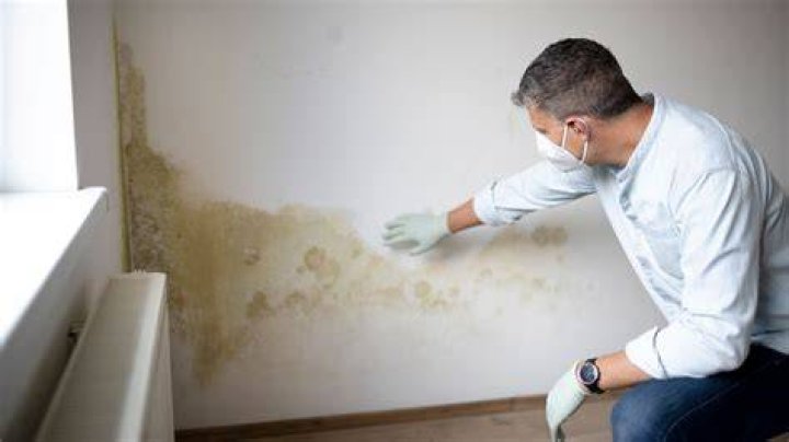 How do I get rid of damp in my bathroom?