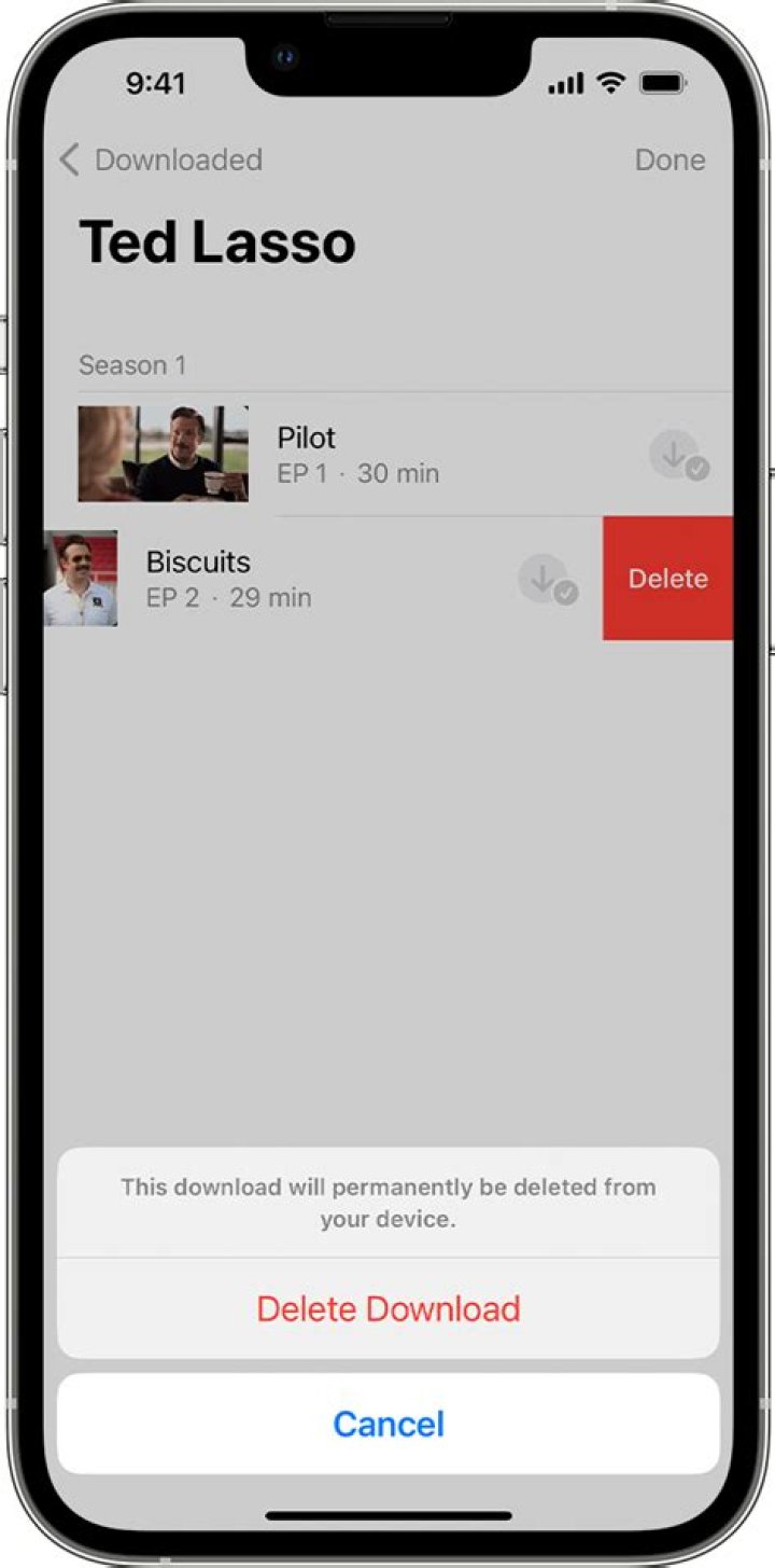 How do I remove TV shows from my iPad?
