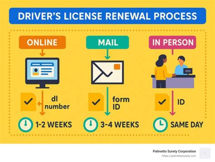 How do I renew my driver's license in New Mexico?