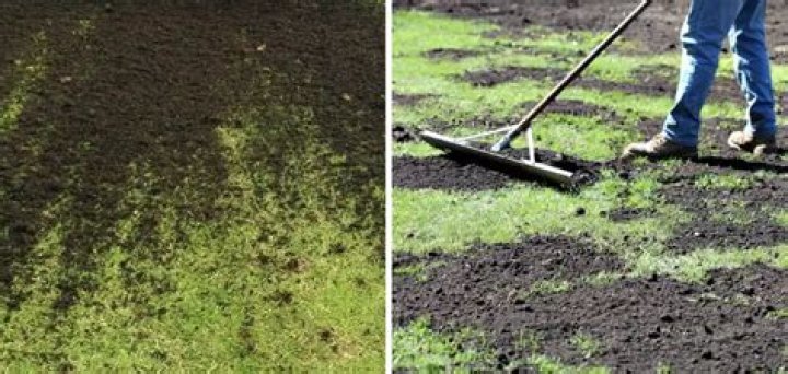 How do I spread soil to my lawn?