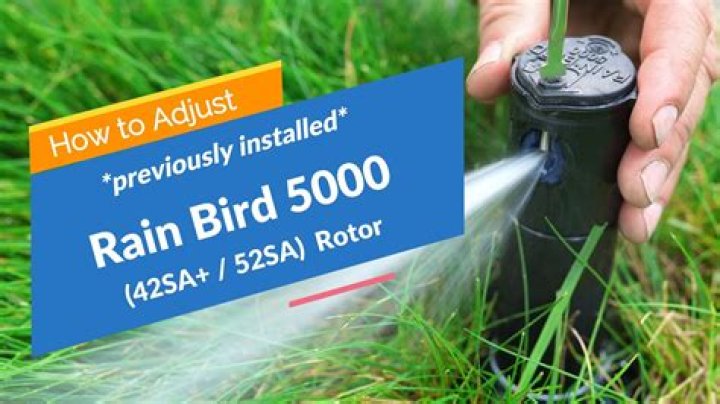 How do you adjust a Rainbird 5000 spray?