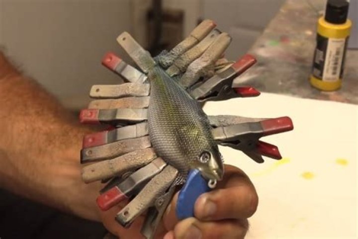 How do you attract fish for fishing?