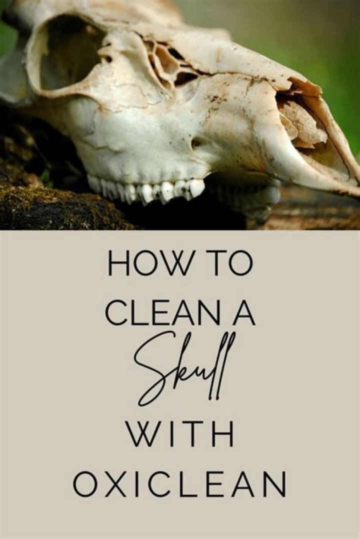 How do you clean antler skull caps?