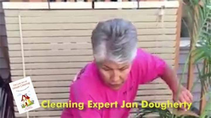 How do you clean tall silk trees?