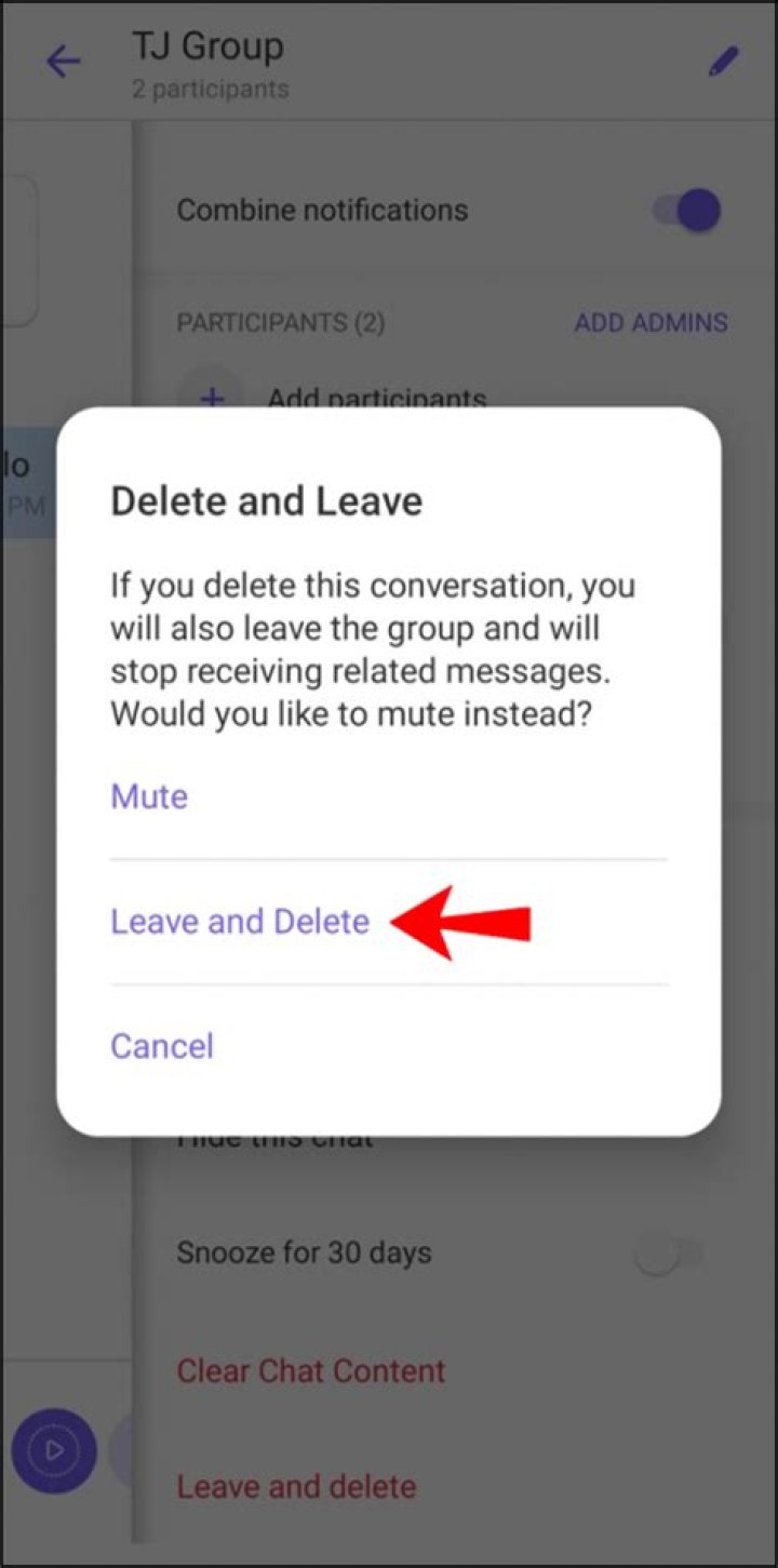 How do you delete a Viber Group on iPhone?