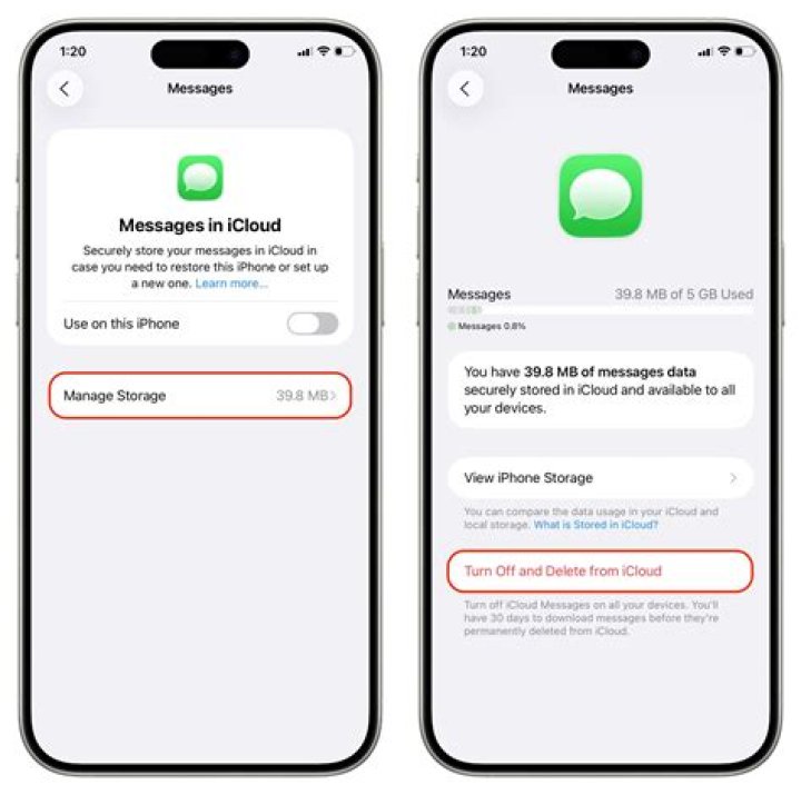 How do you delete messages from search iPhone?