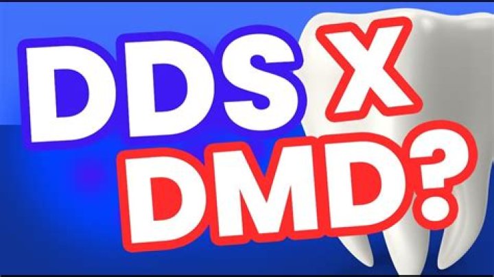 How do you get a DMD degree?
