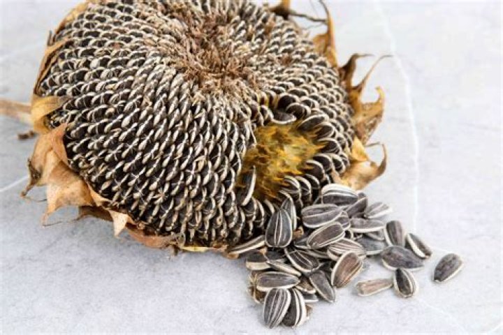 How do you get seasoning to stick to sunflower seeds?