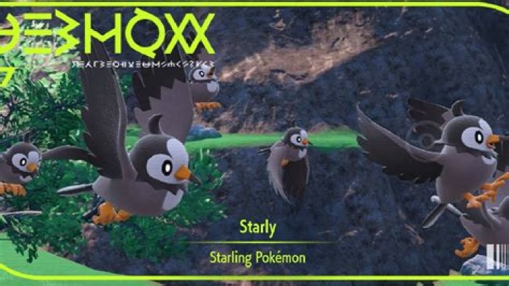 How do you get Starly in Pokemon Y?