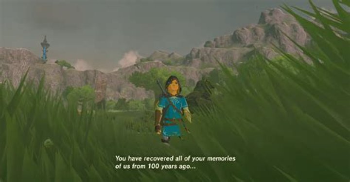 How do you get the true ending in Botw?