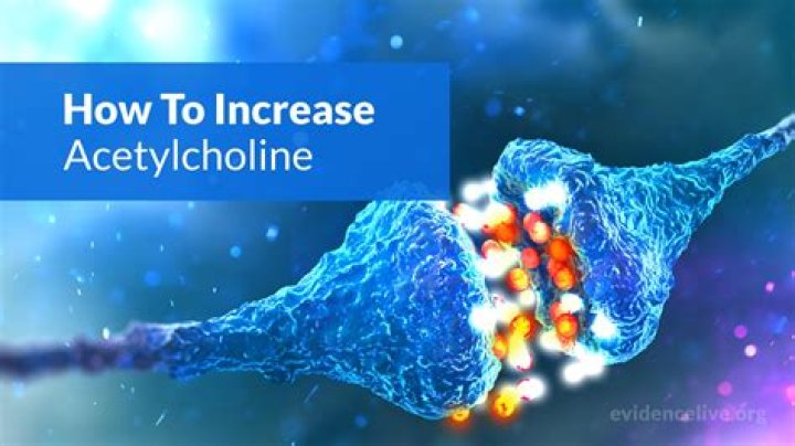 How do you increase acetylcholine levels?