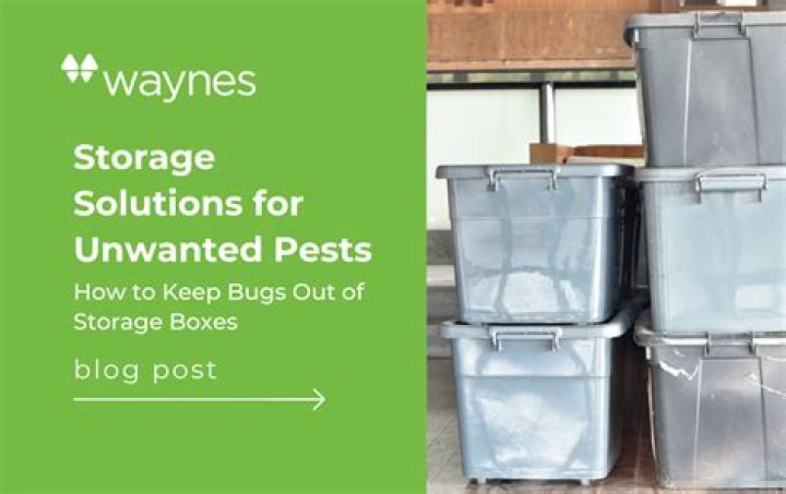 How do you keep bugs out of storage containers?