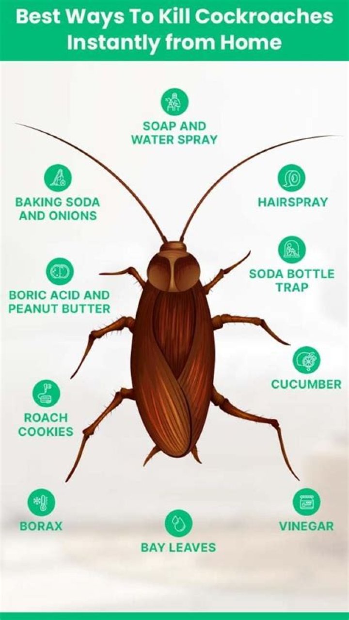 How do you kill cockroaches with pesticides?