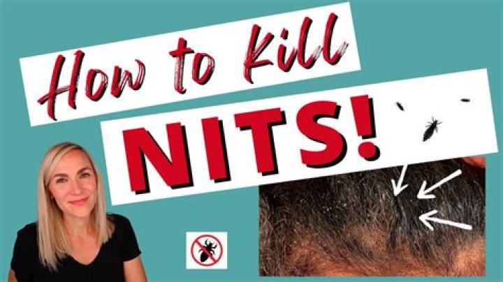 How do you kill lice nits?