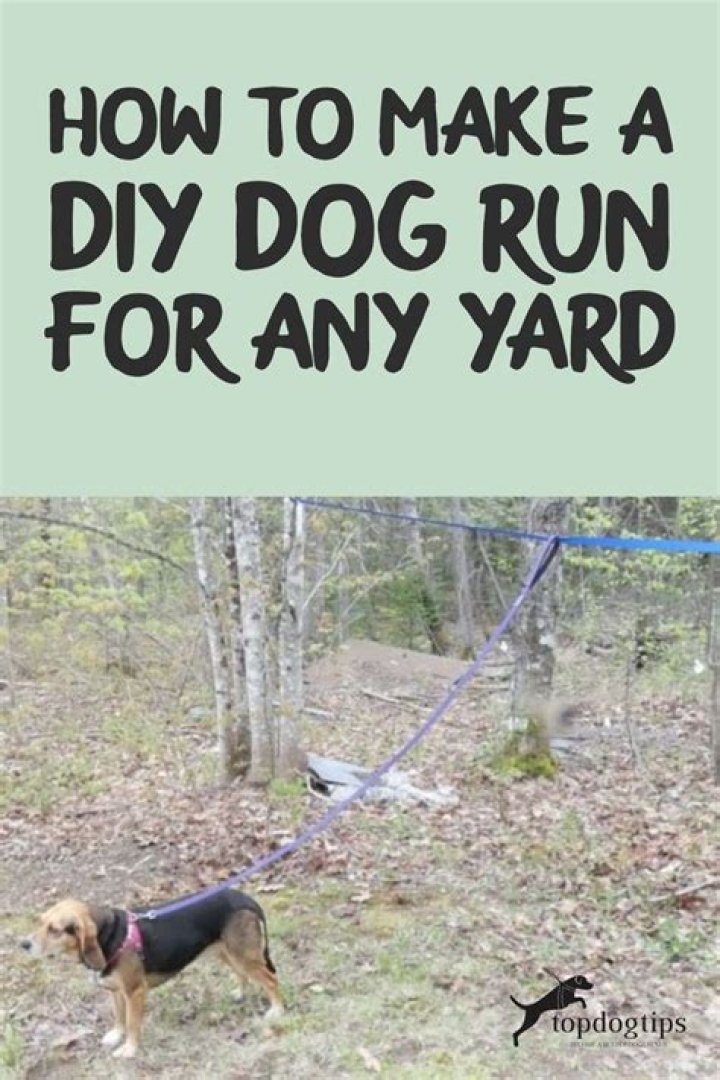 How do you make an easy dog run?