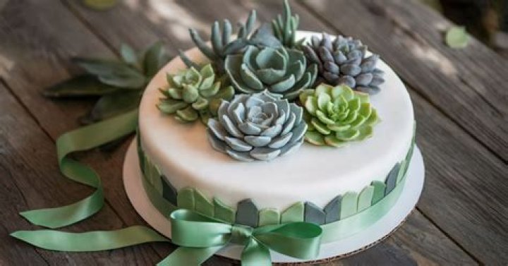 How do you make fondant succulents?