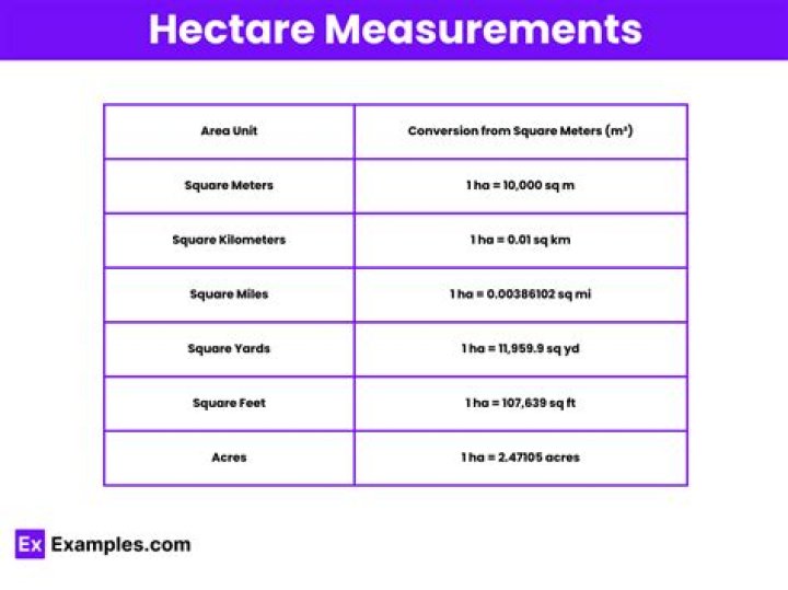 How do you measure one hectare?