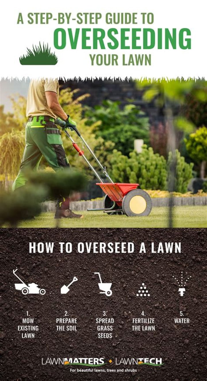 How do you overseed a patchy lawn?