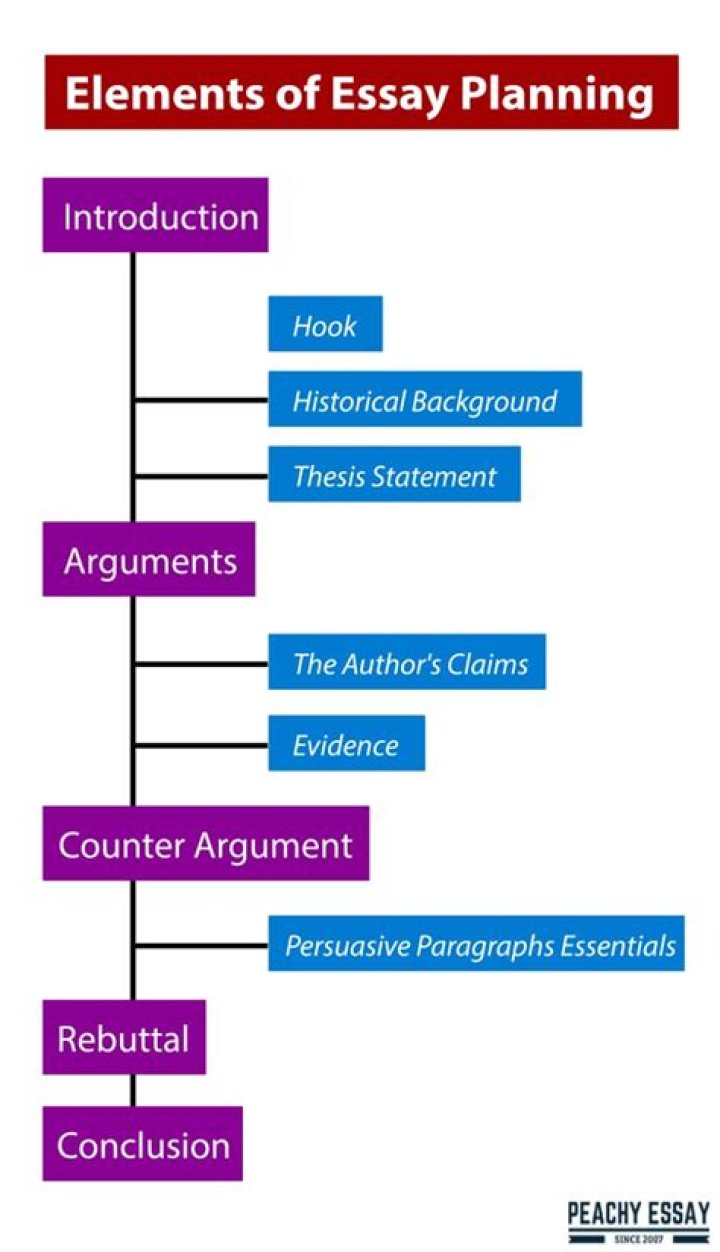How do you plan an essay in 5 minutes?