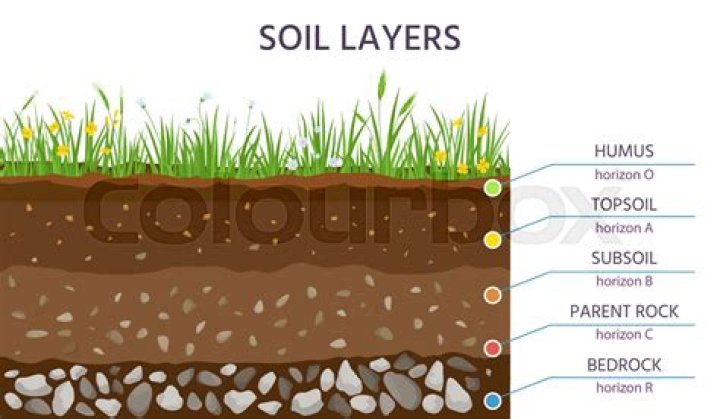 How do you pronounce humus soil?