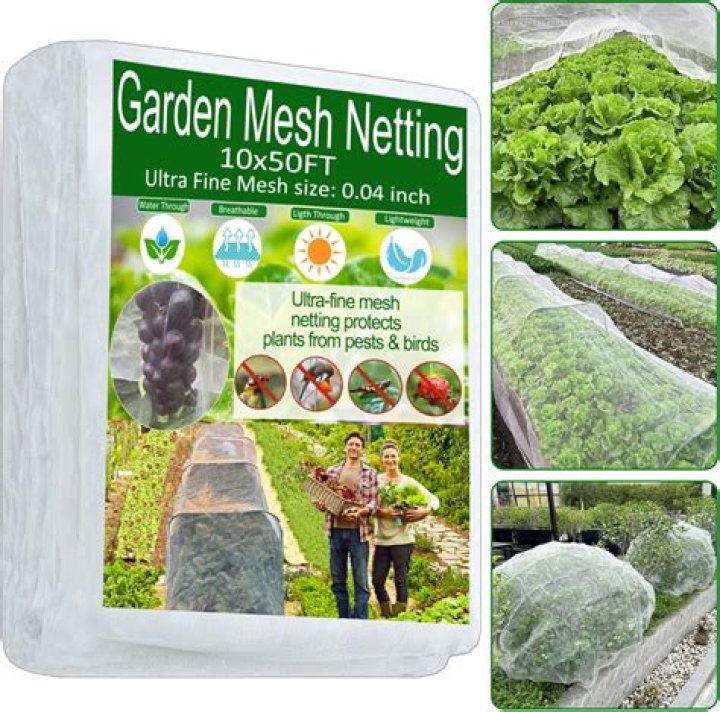 How do you protect plants with netting?