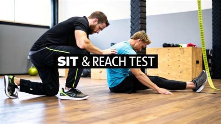 How do you record sit and reach?
