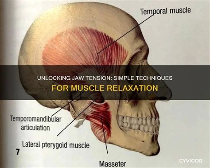 How do you release jaw muscles?