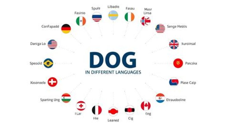 How do you say dog in different languages?