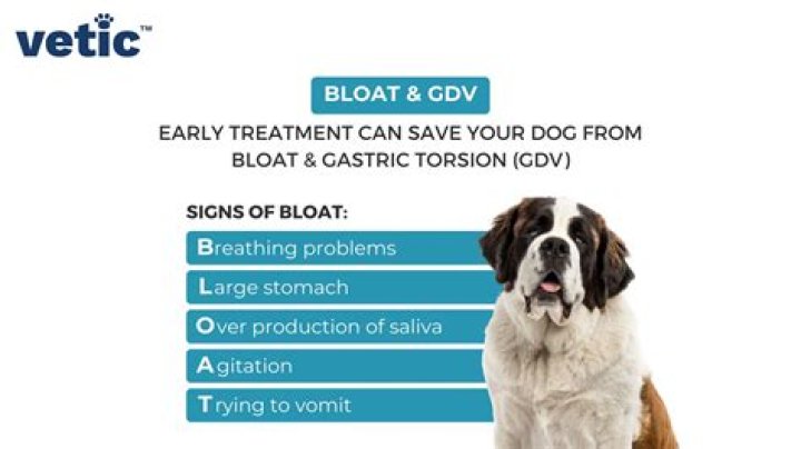 How do you tell if your dog has a bone stuck?
