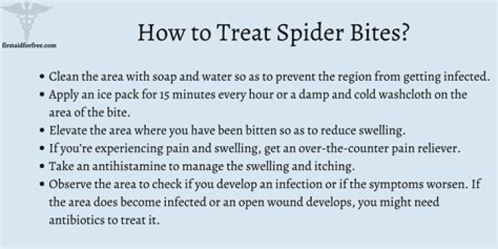 How do you treat a spider bite at home?
