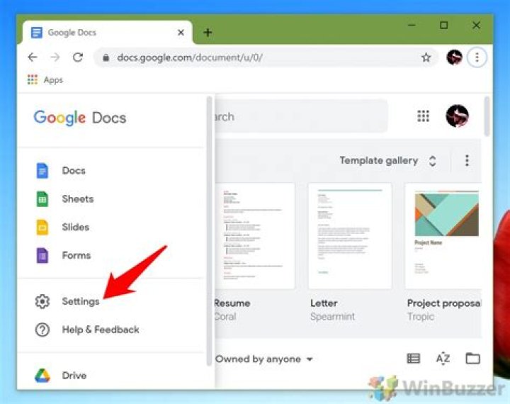 How do you turn on offline editing in Google Docs?