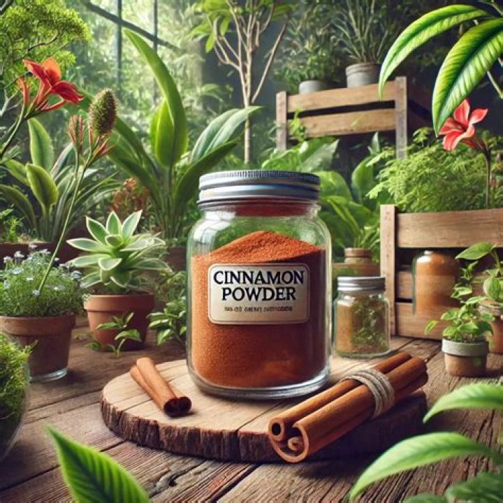 How do you use cinnamon powder for plants?