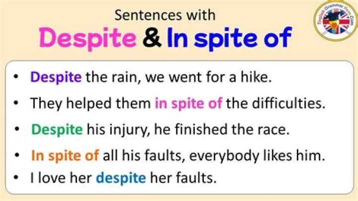 How do you use despite and inspite in a sentence?