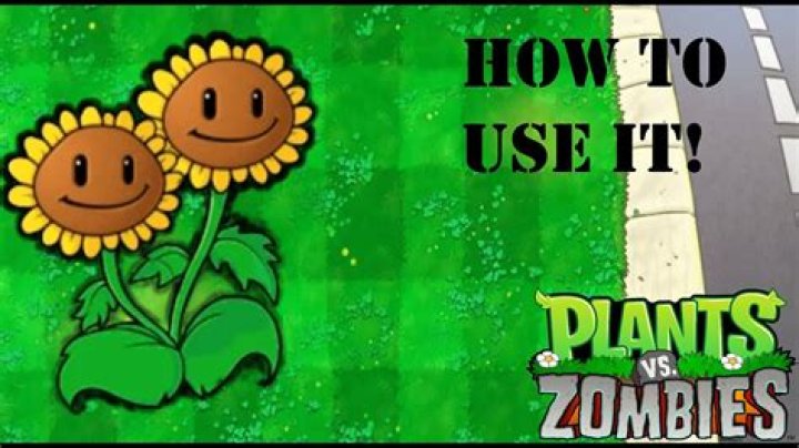 How do you use the double sunflower in Plants vs Zombies?