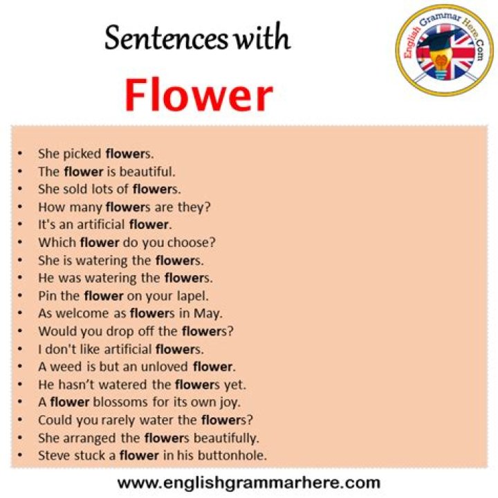 How do you use the word flower in a sentence?