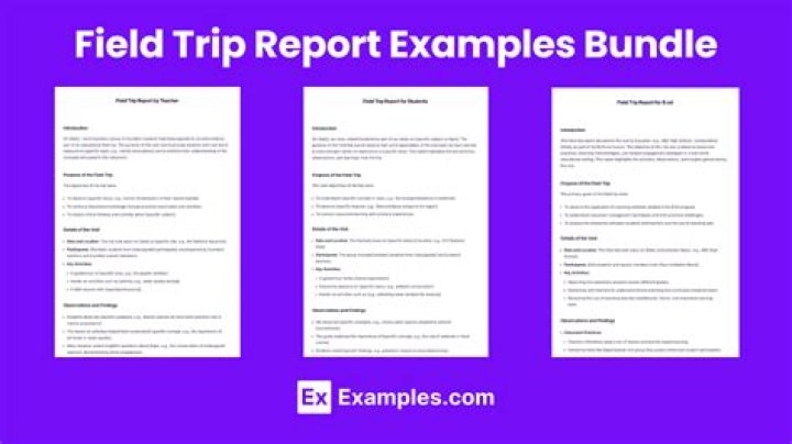 How do you write a field report?