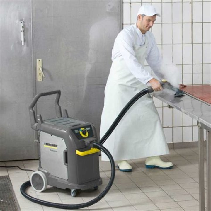 How does a Karcher steam cleaner work?
