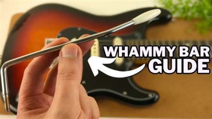 How does a whammy bar work?