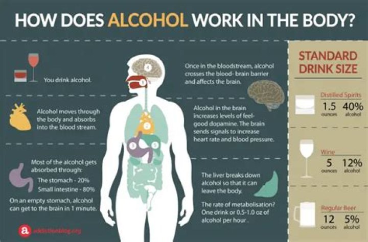 How does alcohol damage the body?