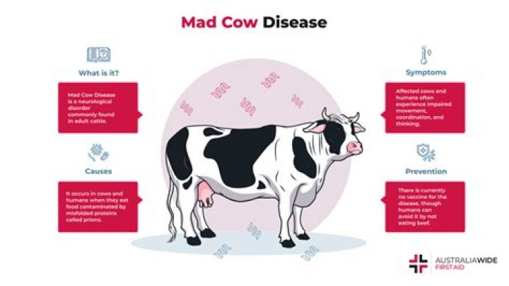 How does mad cow disease spread?