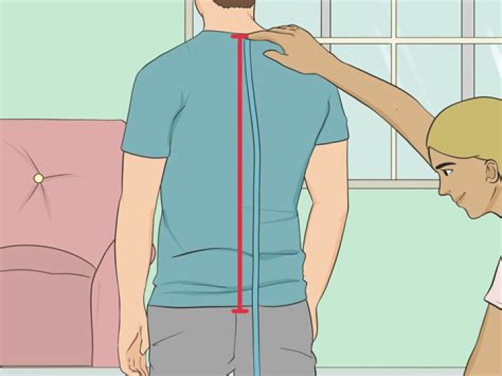 How is a woman's torso measured?