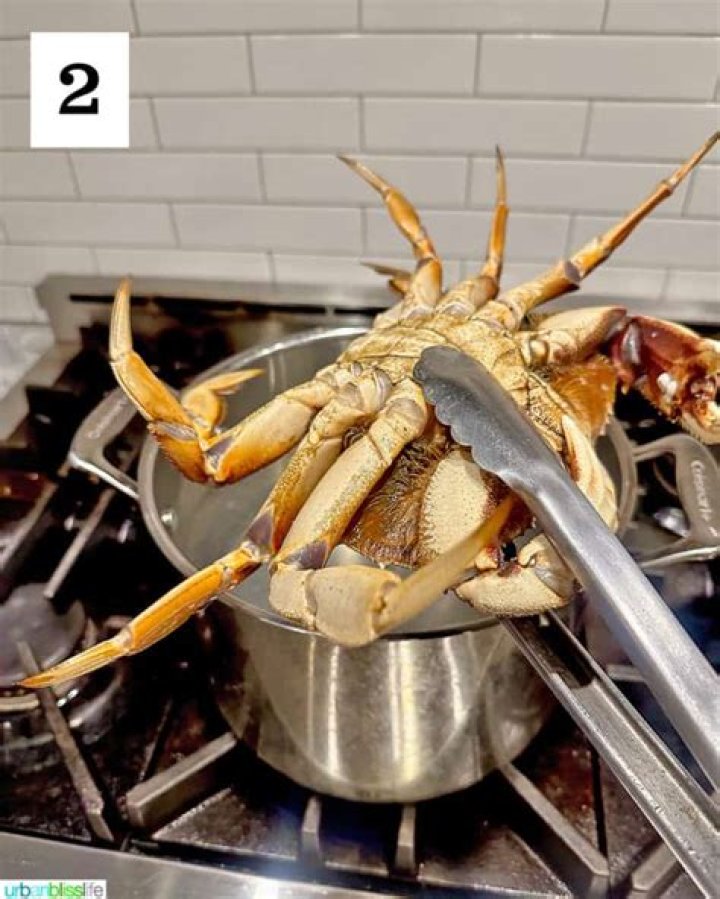 How long do you cook Dungeness crabs for?