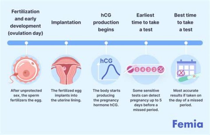 How long do you have to wait to take a pregnancy test after implantation?