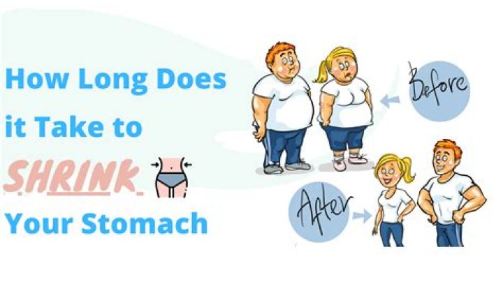 How long does it take for stomach to shrink on diet?
