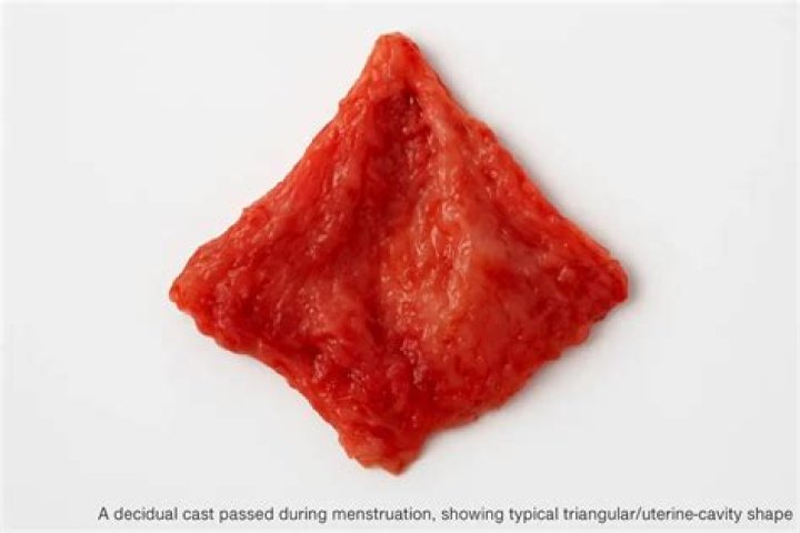 How long does it take for the uterine lining to shed?