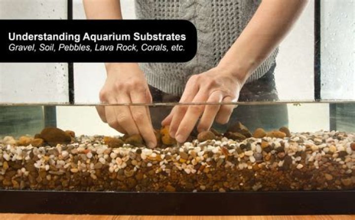 How long does sand take to settle in a fish tank?